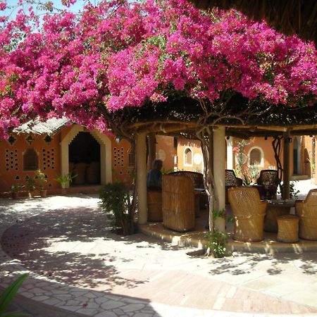 Apani Dhani Eco-Lodge Nawalgarh 外观 照片