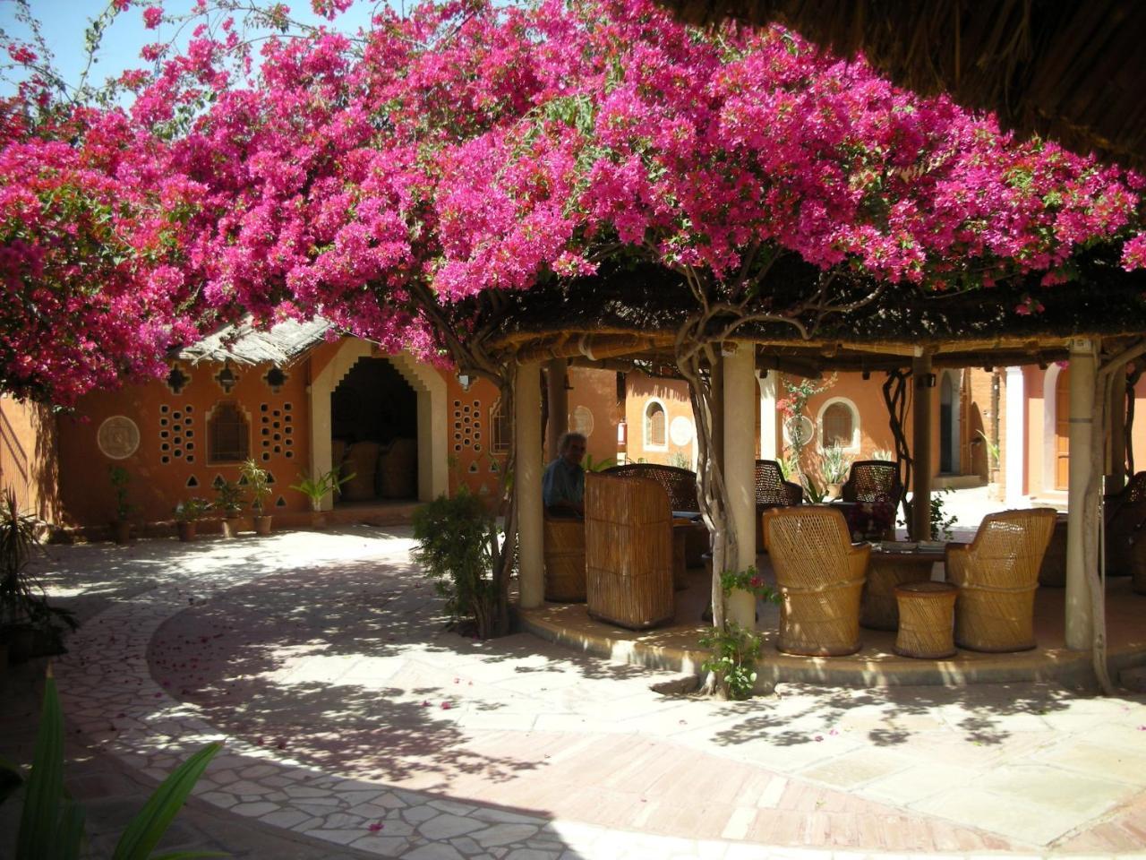 Apani Dhani Eco-Lodge Nawalgarh 外观 照片